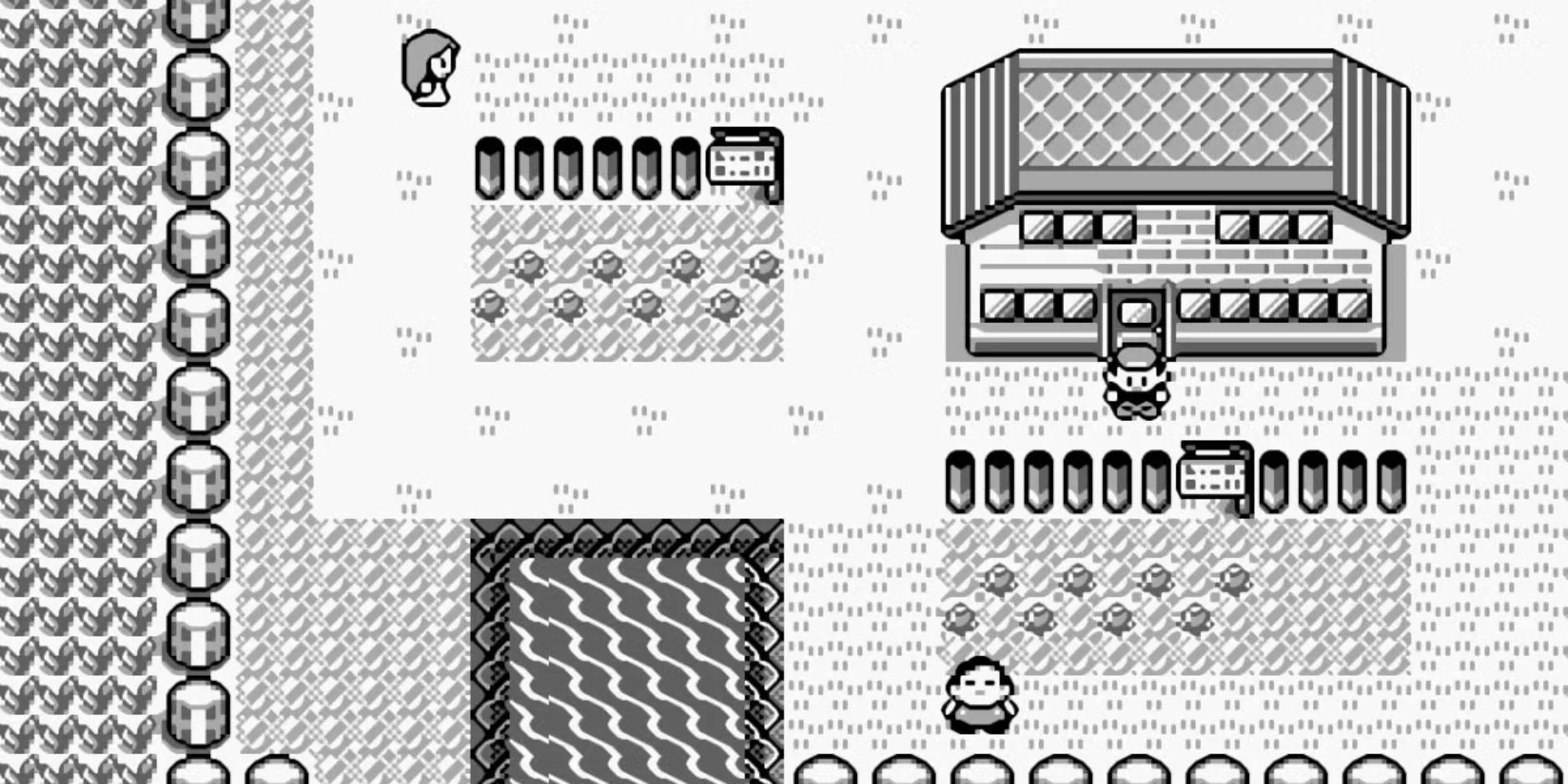 Cảnh khởi đầu game Pokémon Red và Blue