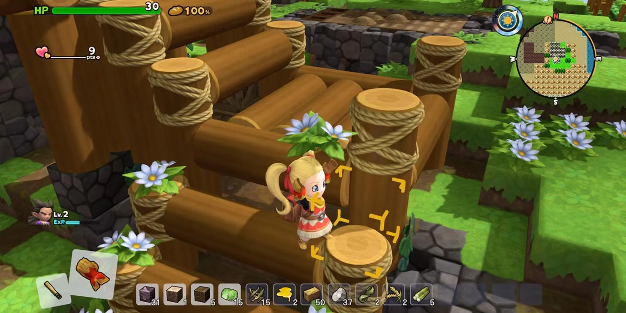 Dragon Quest Builders 2 Placing A Block