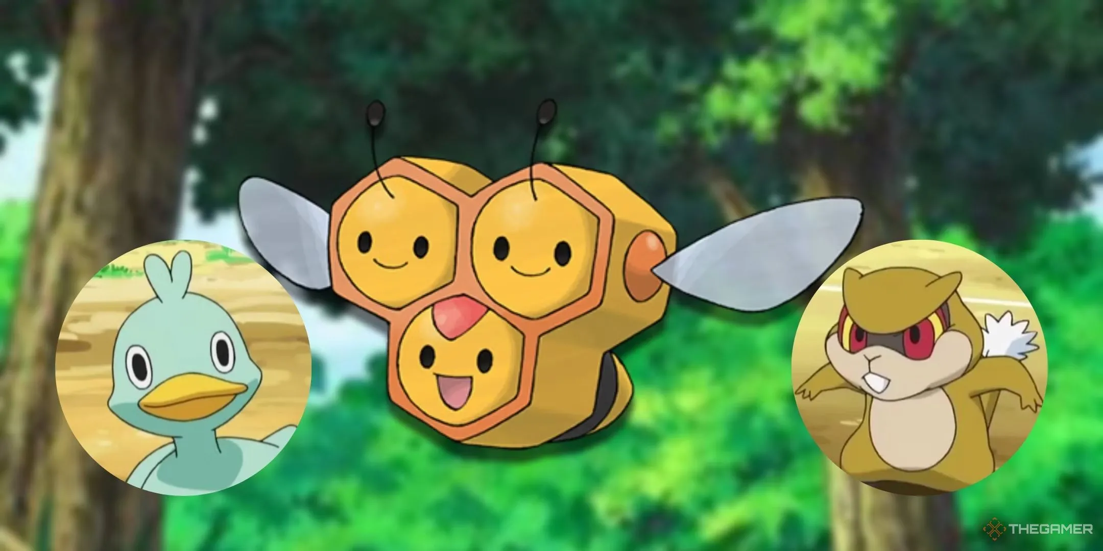 Combee, Patrat và Ducklett - những Pokémon dễ thương ẩn chứa nhiều bí mật về thế giới game tưởng chừng tươi sáng