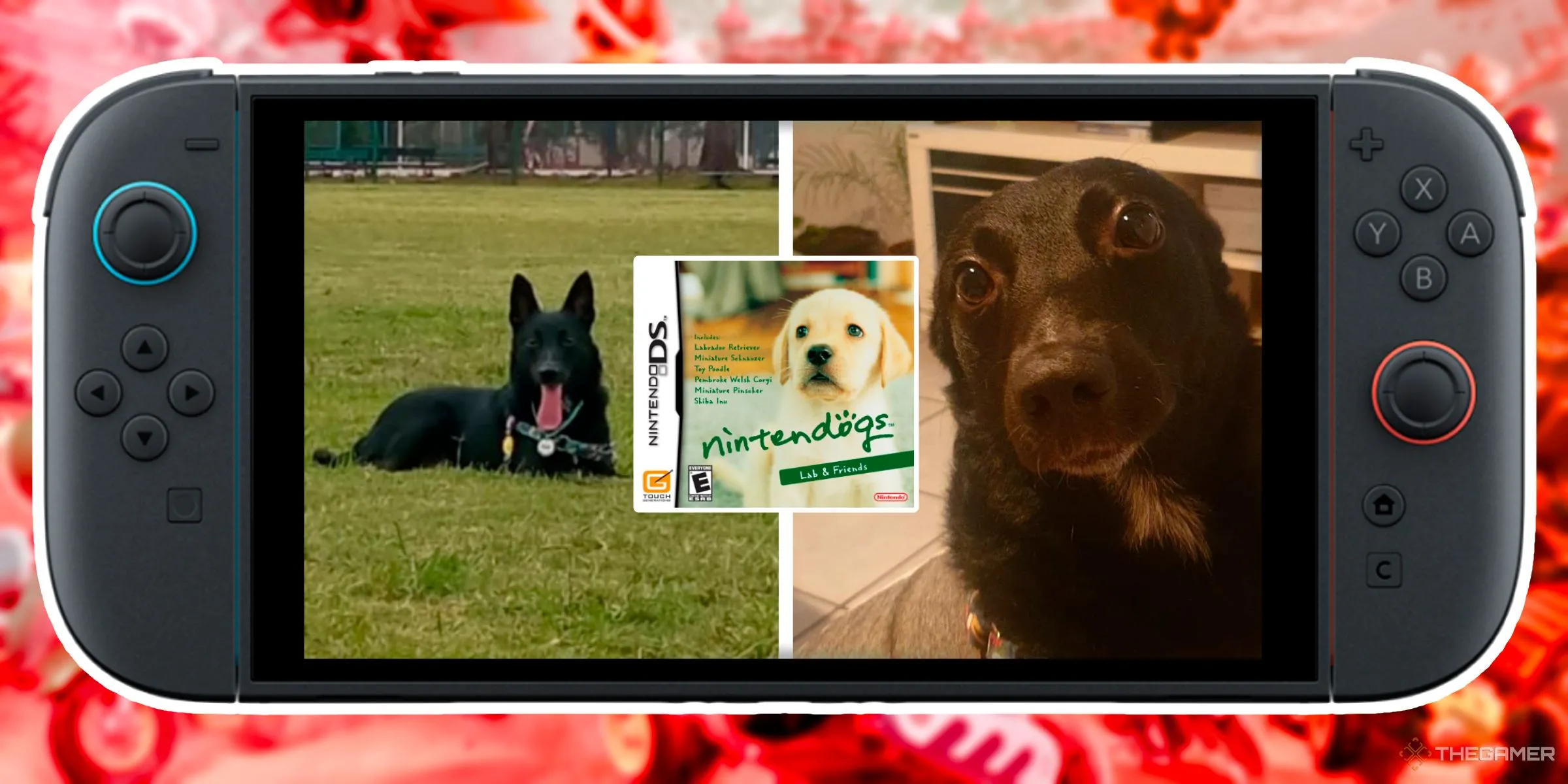 Hình ảnh hai chú chó đen bên cạnh hộp game Nintendogs DS, tất cả được đặt trong thiết kế Nintendo Switch 2, gợi ý về việc nuôi thú cưng ngoài đời.
