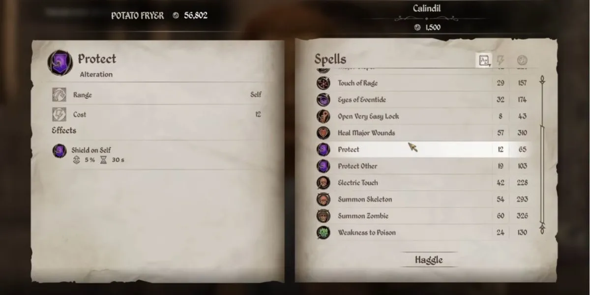 Phép Protect trong The Elder Scrolls IV: Oblivion Remastered tăng cường giáp bảo vệ người chơi.