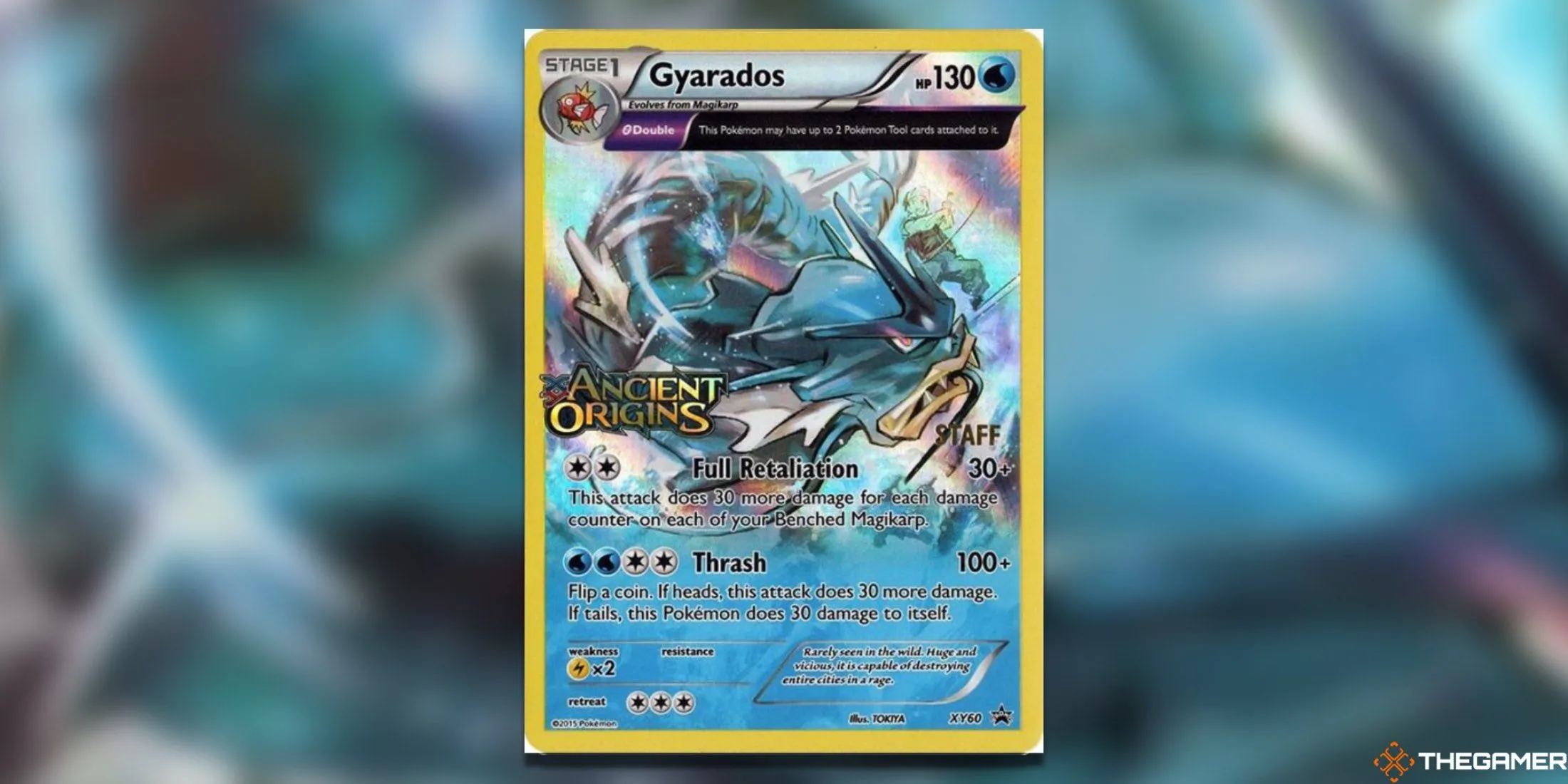 Thẻ bài Gyarados XY Promos Staff Promo trong Pokemon TCG, với hình ảnh Gyarados đặc trưng và con dấu Ancient Origins, ẩn chứa giá trị cao