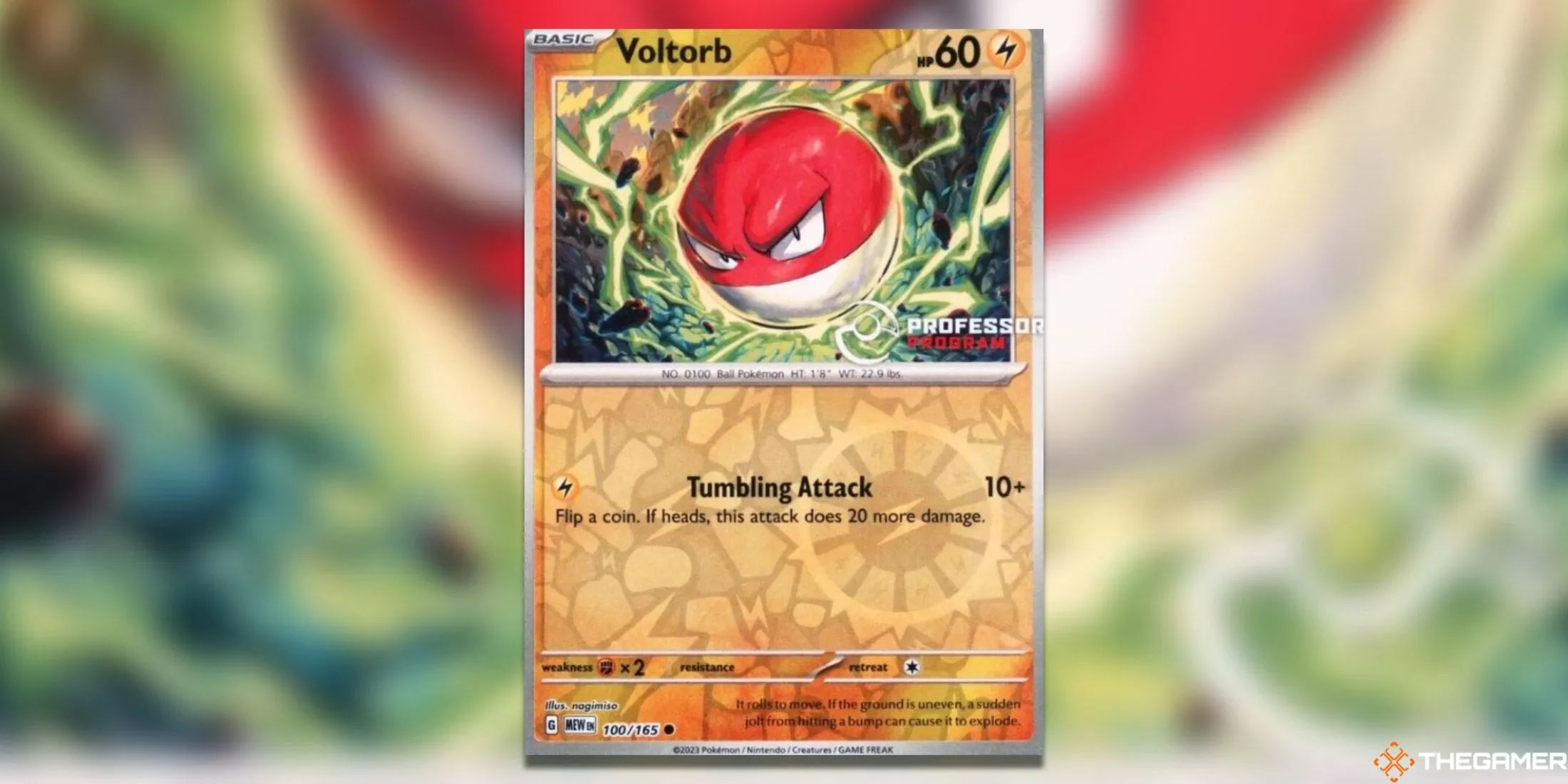 Thẻ bài Voltorb Professor Program Promos trong Pokemon TCG, một thẻ phổ biến với hình ảnh quen thuộc nhưng lại có giá trị cực khủng do chương trình phân phối độc quyền